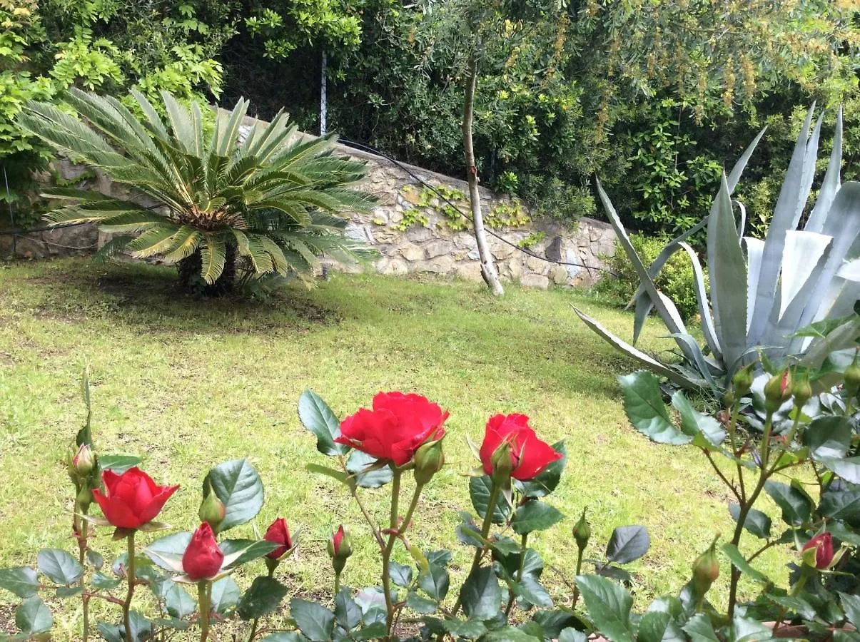 Tra Mare E Bosco Nella Splendida Quercianella Villa 0*,